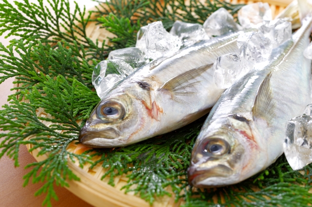 葉を敷いた竹ざるの上に、氷で冷やされた新鮮なアジが2匹乗っている