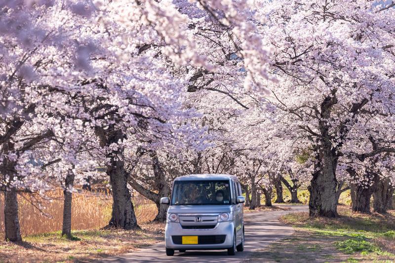 自動車保険の弁護士特約は必要か？役立つシーンや注意点を解説